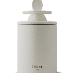 BOUGIE ASTROLOGIE GEMEAUX BAIES CHAMPÊTRES