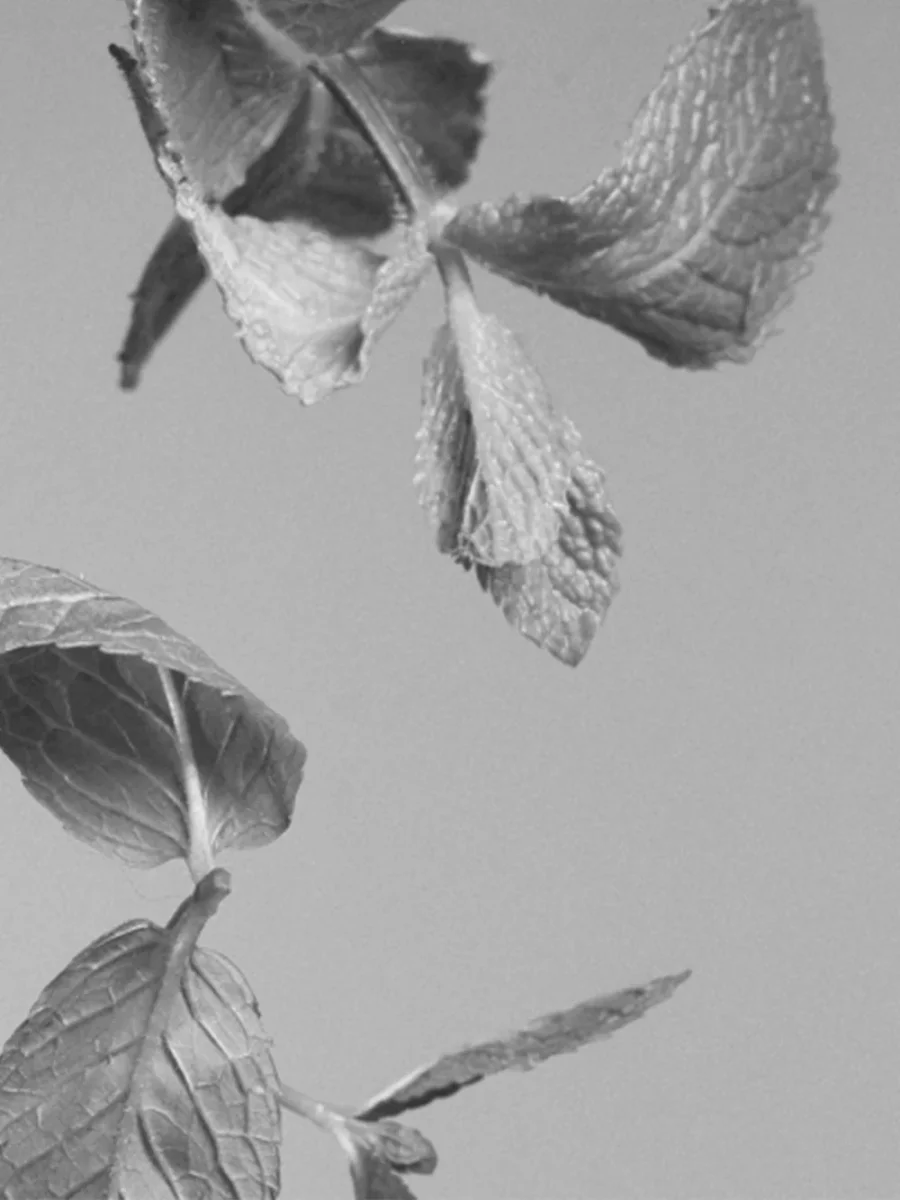 BOUGIE ASTROLOGIE CANCER THÉ À LA MENTHE – Image 3