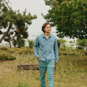 L'ÎLE BLEUE - Boubou David