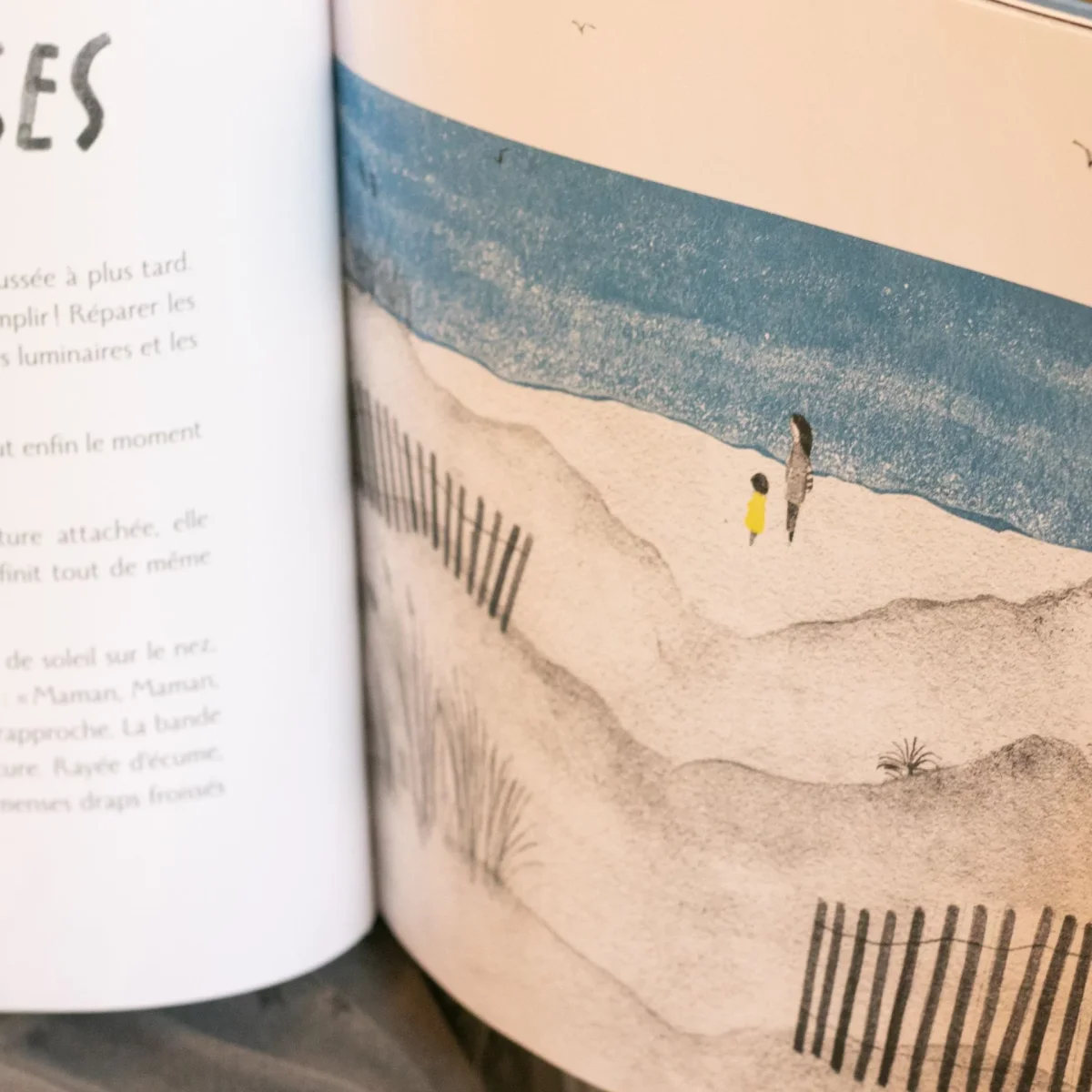 La mer dans son jardin – Livre Enfant – Isabelle Carré – Image 4