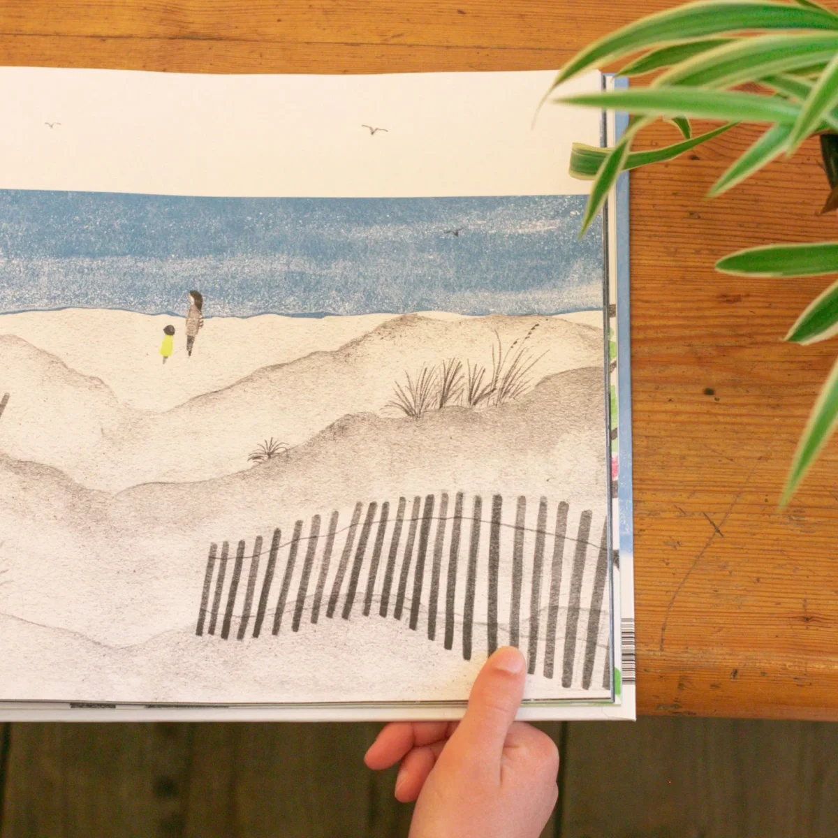 La mer dans son jardin – Livre Enfant – Isabelle Carré – Image 7